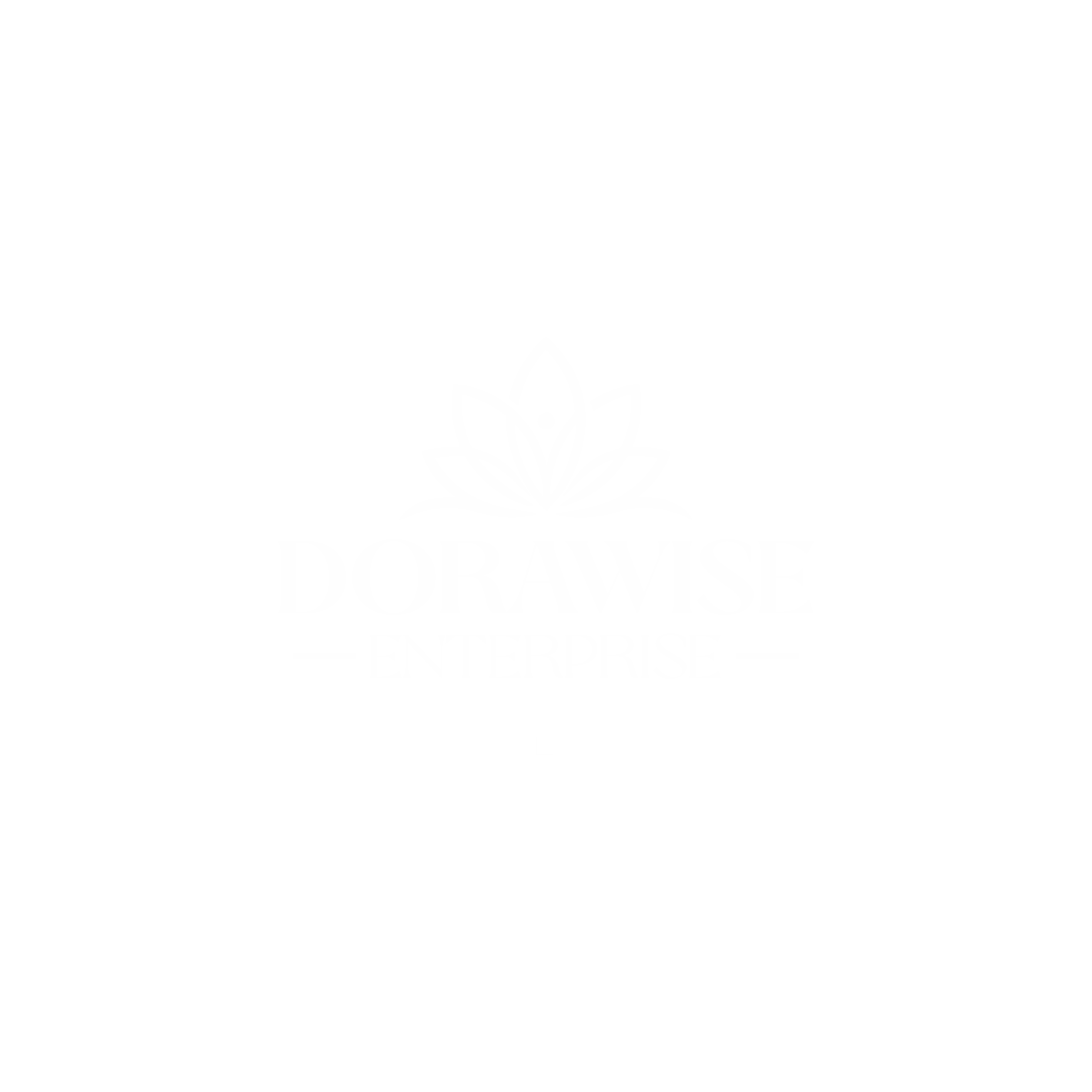 dorawise logo png 3